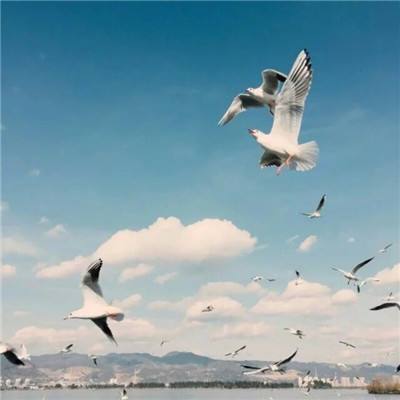 365足球外围平台