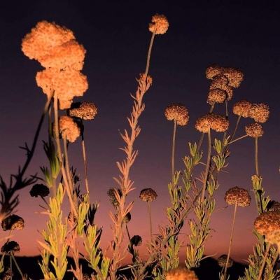 江南APPapp下载截图